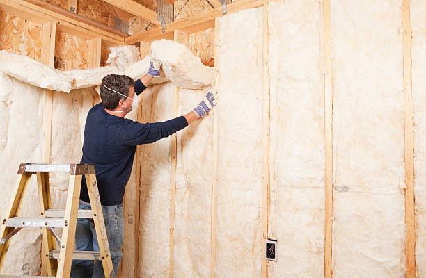 Best Soundproof Insulation  in North Liberty, IN